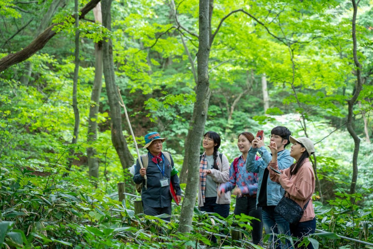 Learning about Tomeyama Forest in Happo.