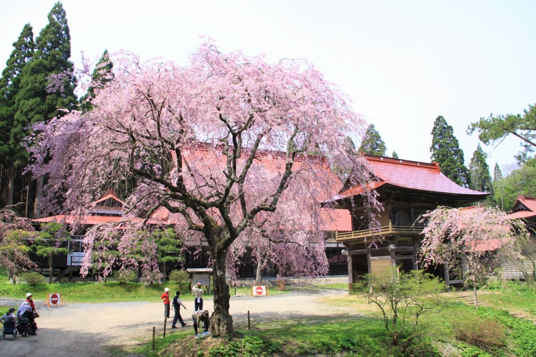 Tahoin Temple in spring.