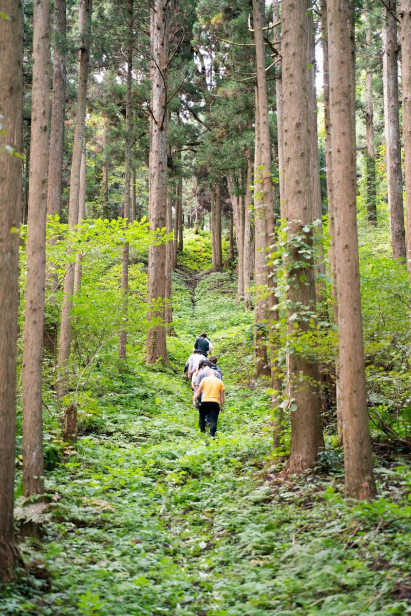 Trekking through the woods in Fujisato.