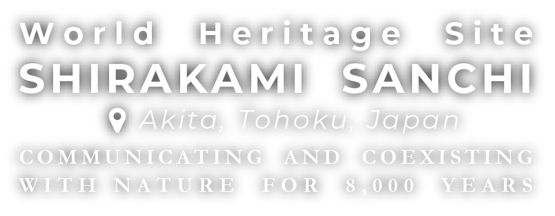 World Heritage Site Shirakami Sanchi, Communicating and Coexisting with Nature for 8,000 Years, AKITA, TOHOKU, JAPAN