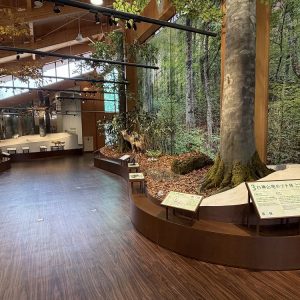A newly renovated visitor facility has opened in northern Akita Prefecture, offering a fresh gateway to the UNESCO-listed Shirakami Sanchi.